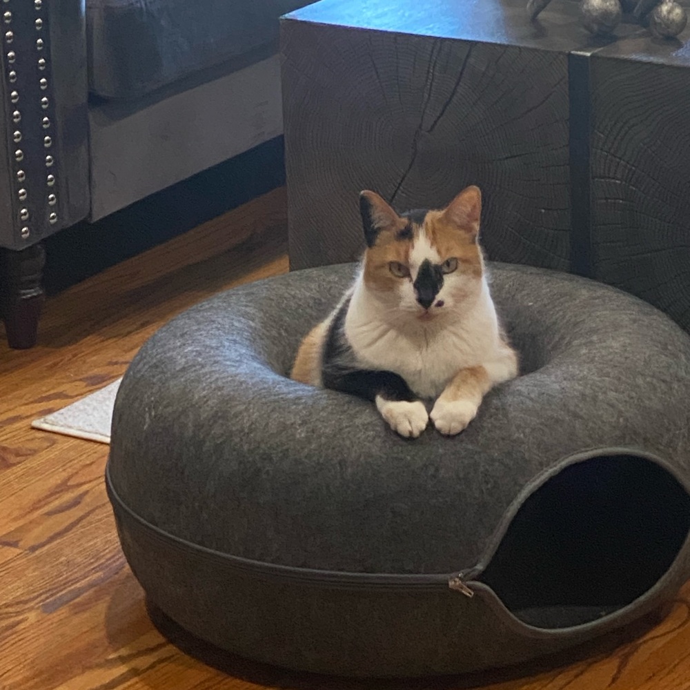 Meet your Posher, Ruby
